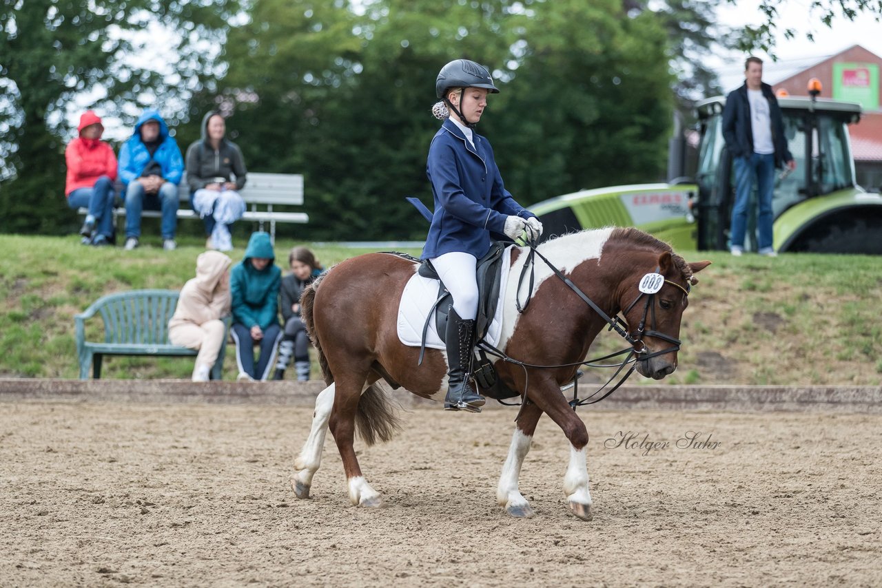 Bild 527 - Pony Akademie Turnier